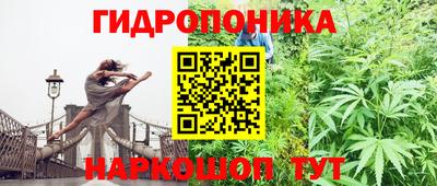 твердый Краснодар