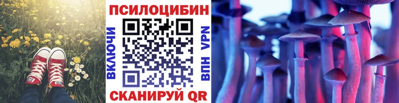 Галлюциногенные грибы Cubensis сайты даркнета официальный сайт Красноармейск закладка