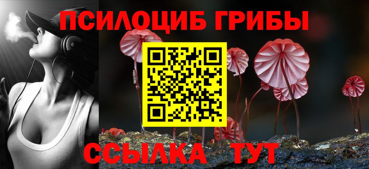 Псилоцибиновые грибы Psilocybine cubensis  Вход с VPN  Красноармейск 
